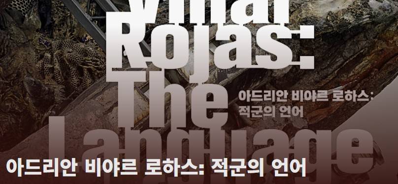 아드리안 비야르 로하스