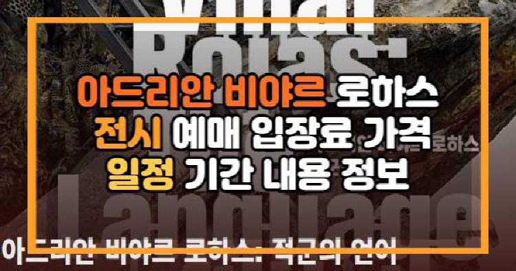 아드리안 비야르 로하스 전시 예매 입장료 가격 일정 기간 내용 정보