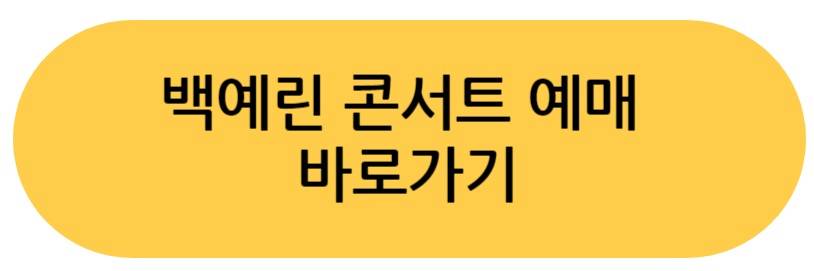 백예린 콘서트
