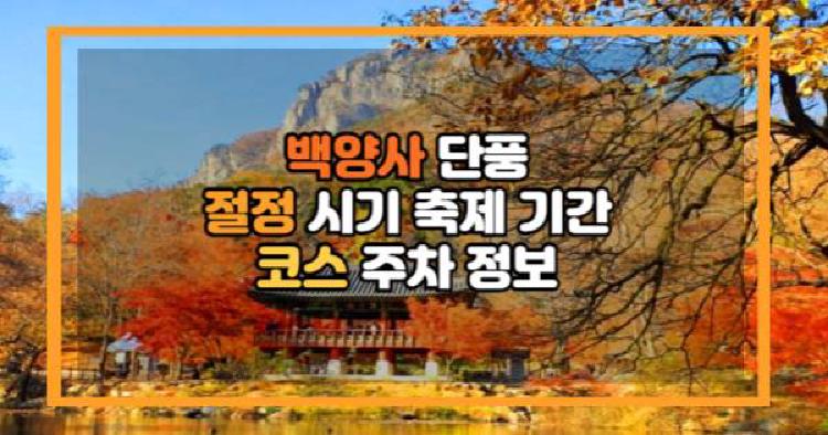 백양사 단풍