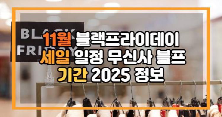 11월 블랙프라이데이