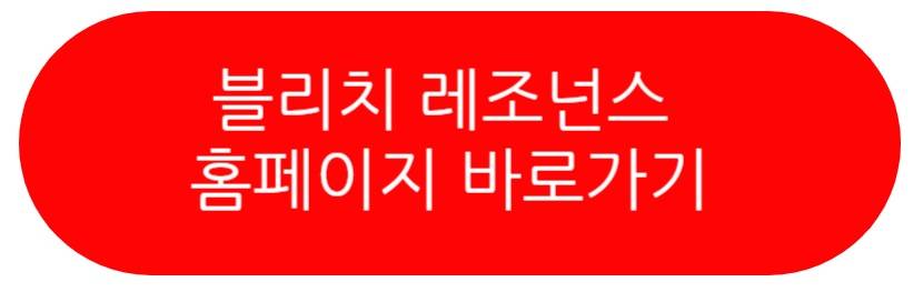 블리치 레조넌스