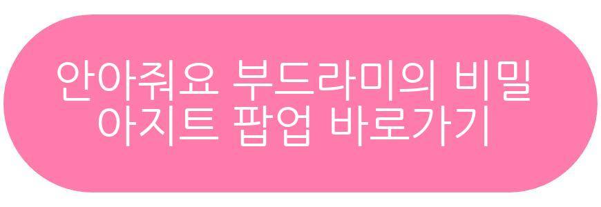 안아줘요 부드라미의 비밀 아지트 팝업