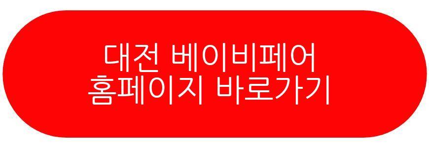 대전 베이비페어