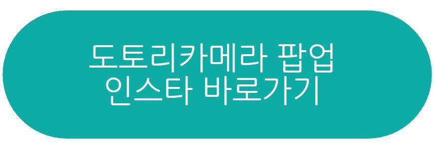 도토리카메라 팝업