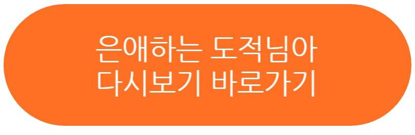 은애하는 도적님아 드라마