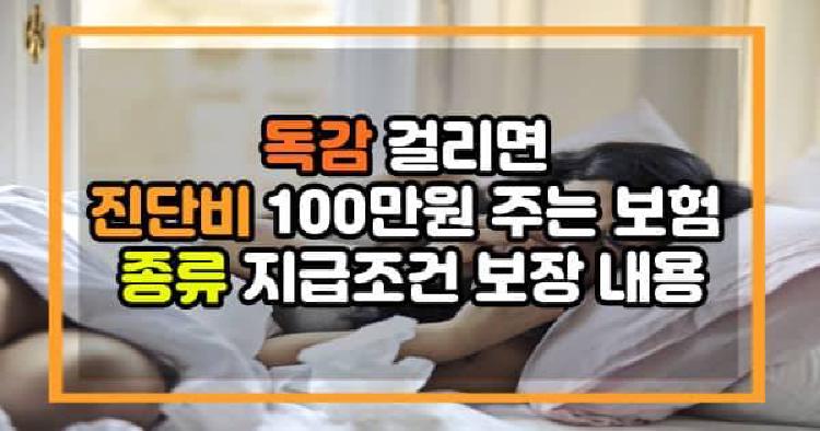 독감 걸리면 진단비 100만원