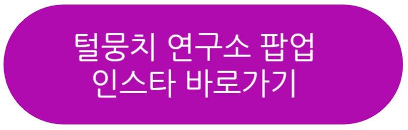 털뭉치 연구소 팝업