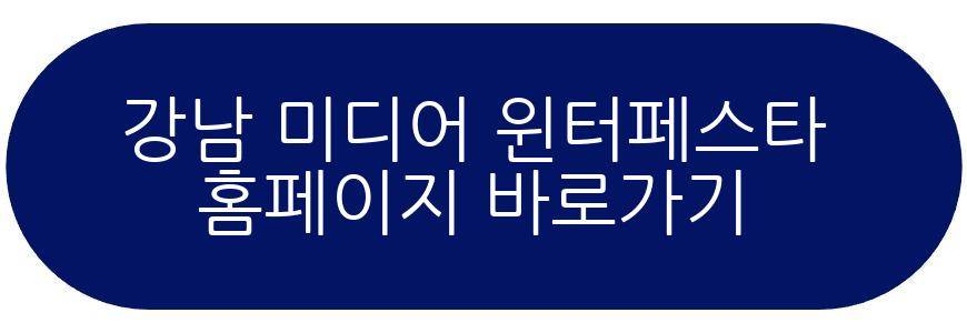 강남 미디어 윈터페스타