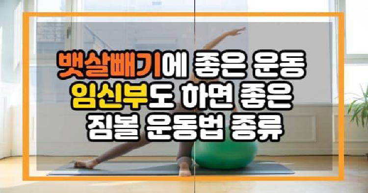 짐볼운동 뱃살빼기