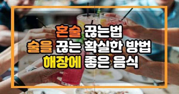 혼술 끊는법