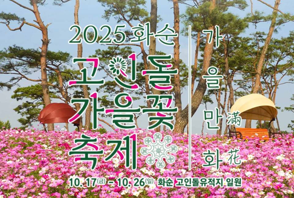 화순 고인돌 가을꽃 축제