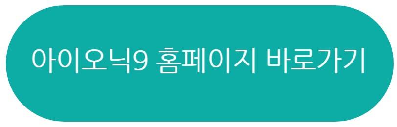 아이오닉9