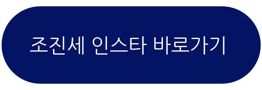 조진세 프로필