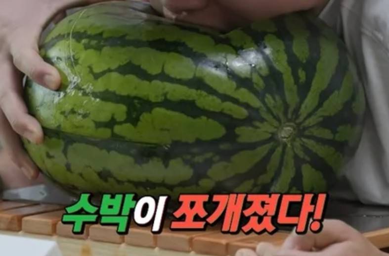 조진세 프로필