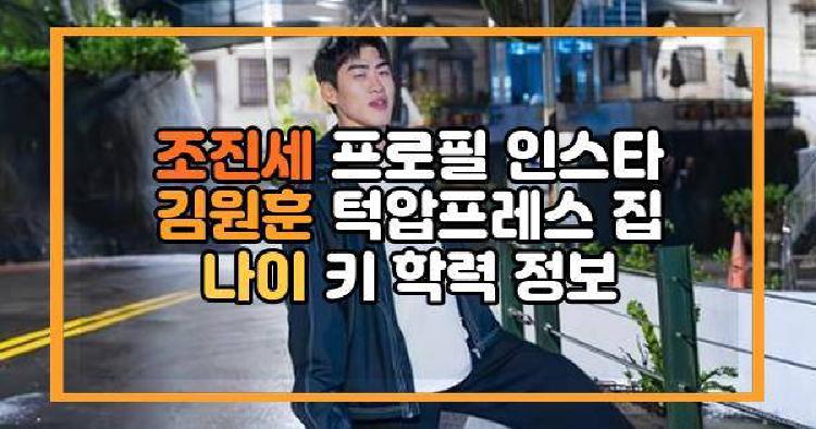 조진세 프로필