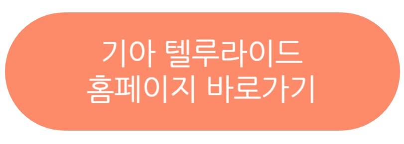 기아 텔루라이드