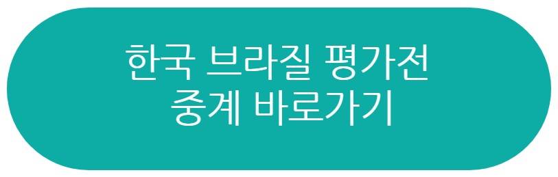 한국 브라질 평가전