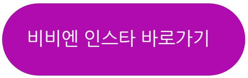 비비엔 인스타