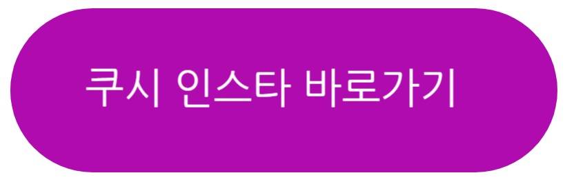 쿠시 인스타