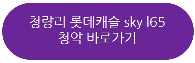 청량리 롯데캐슬 sky l65