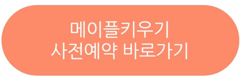 메이플키우기
