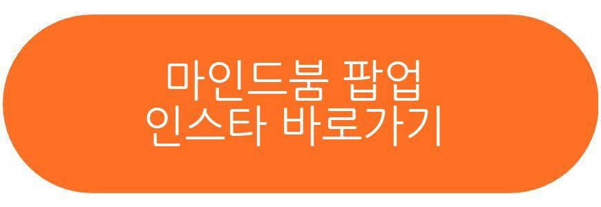 마인드붐 팝업