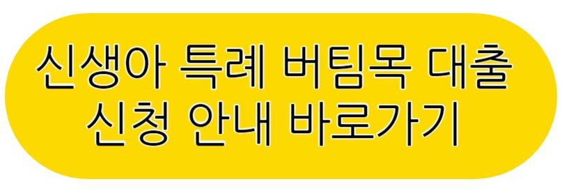 신생아 특례 디딤돌 대출
