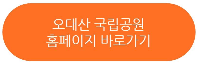오대산 단풍
