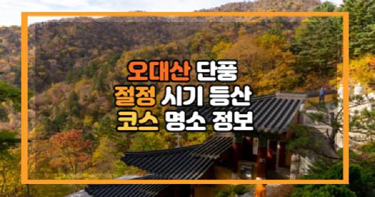 오대산 단풍