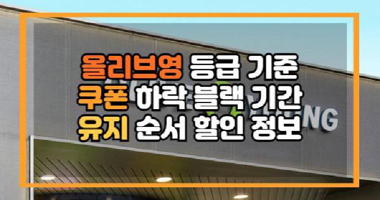 올리브영 등급