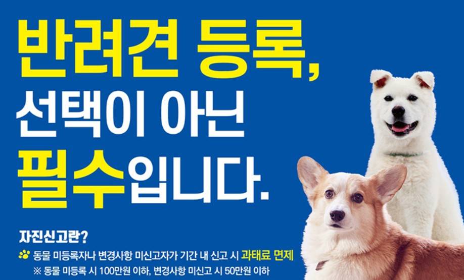 반려동물 등록번호