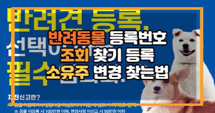 반려동물 등록번호