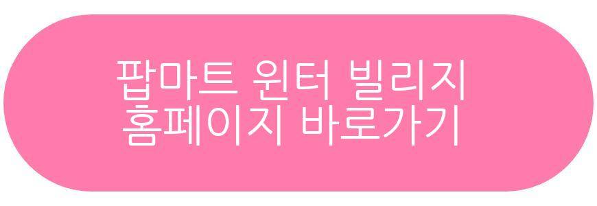 팝마트 윈터 빌리지