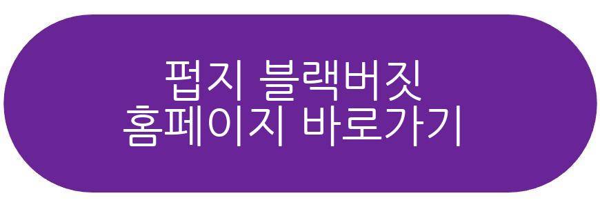 펍지 블랙버짓