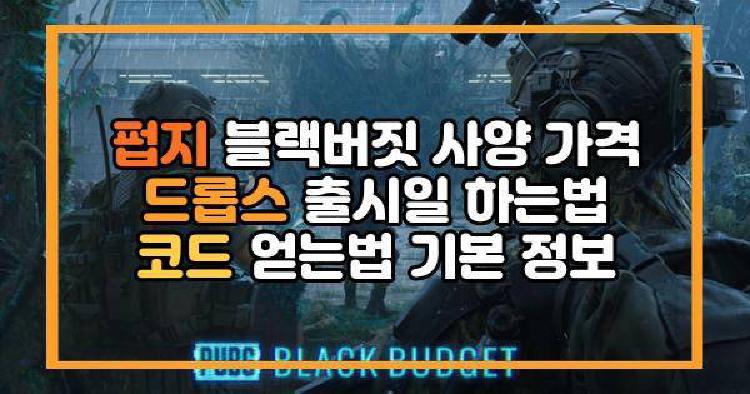 펍지 블랙버짓