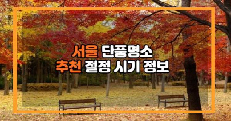서울 단풍 명소