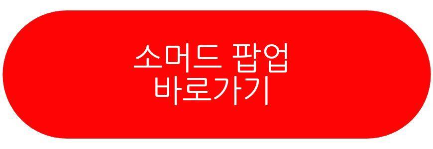 소머드 팝업
