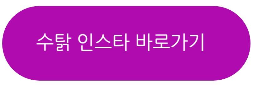 수탉인스타