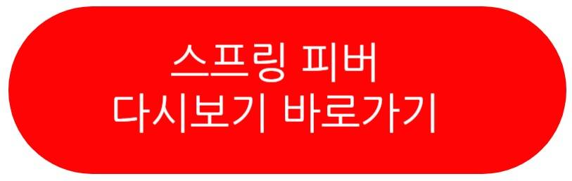 스프링피버 드라마