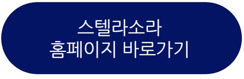 스텔라소라