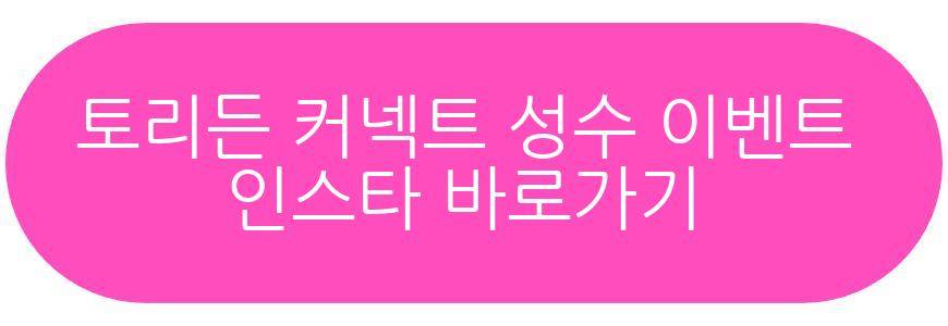 토리든 커넥트 성수 이벤트 솔리빌리지