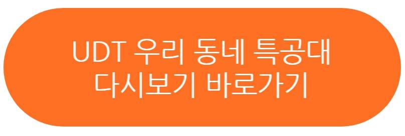 UDT 우리 동네 특공대
