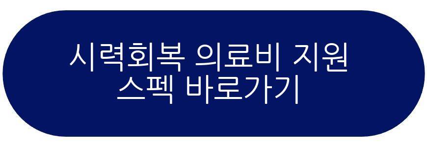 시력교정 지원금