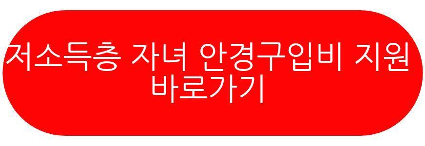 시력교정 지원금