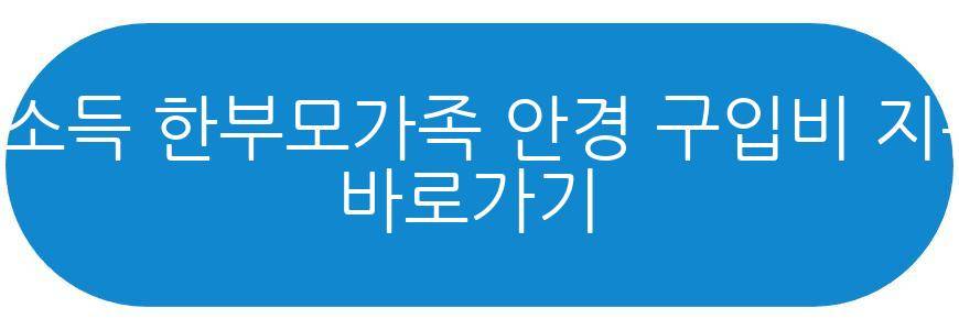 시력교정 지원금