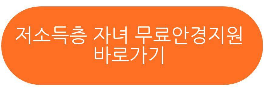 시력교정 지원금