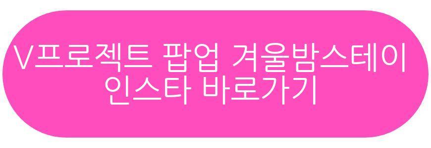 V프로젝트 팝업 겨울밤스테이