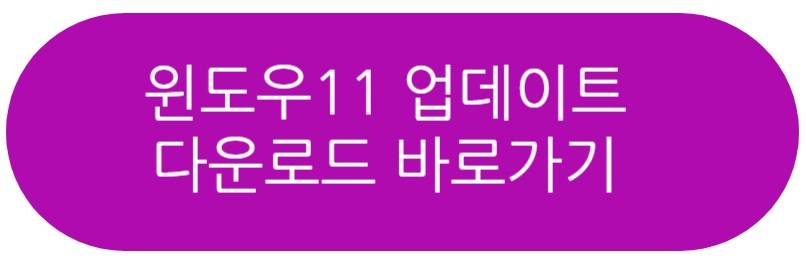 윈도우11 업데이트