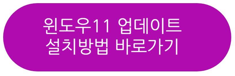 윈도우11 업데이트